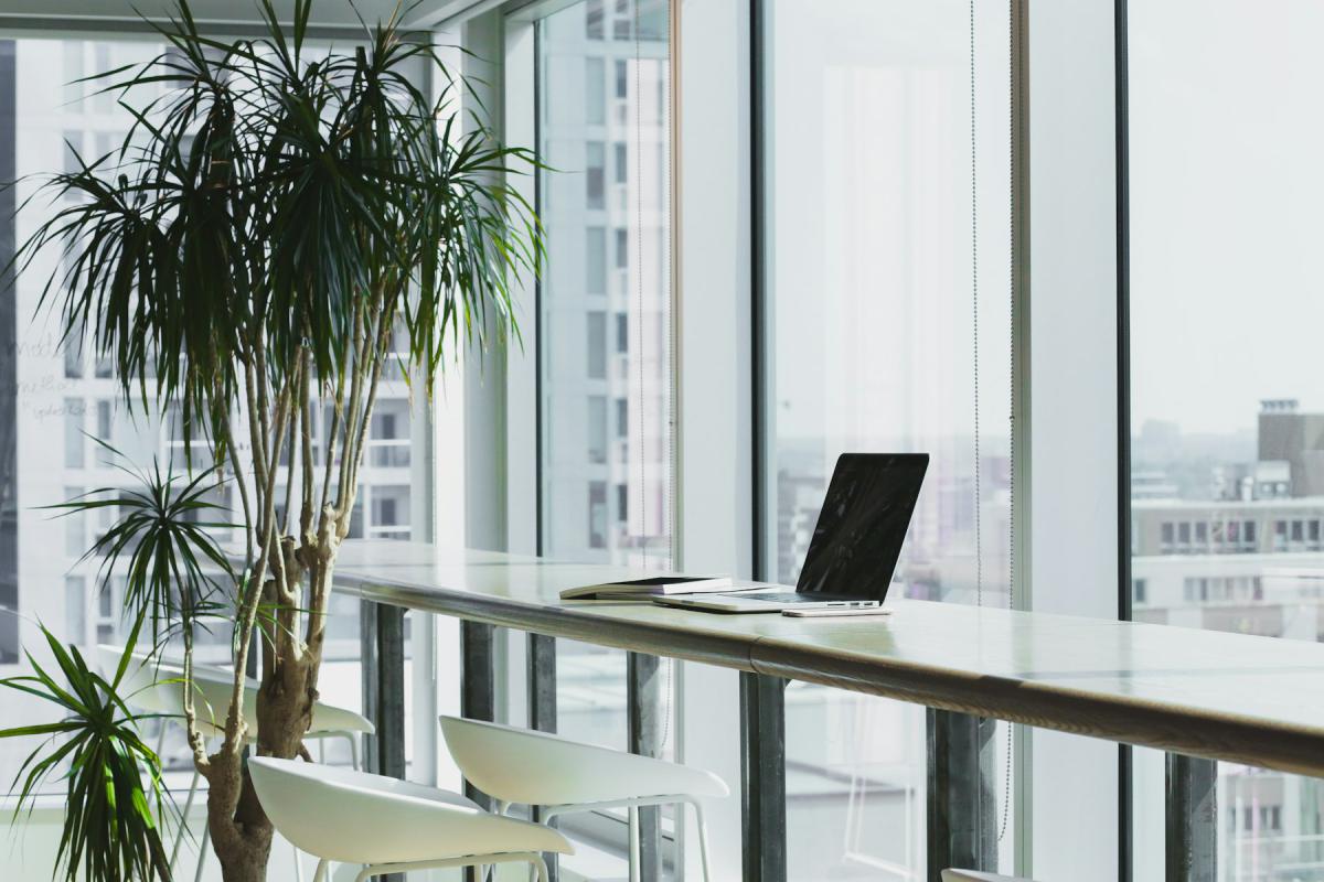 Commercial Interior — Office workspace interior with natural light and greenery
